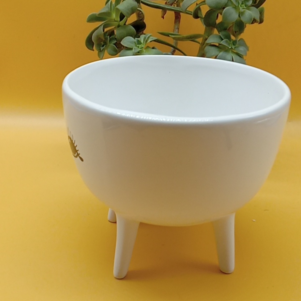 Ceramic Planter - Picture 5 of 9